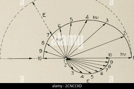 . La rivista tecnica Bell System . e Broglie di Parigi è molto gratificante. Il valore della differenza di frequenza tra i raggi X primarici e i raggi X sparsi, cioè tra la quantae la quantita di rimbalzo, è in ottimo accordo con la formula, sia che le misure siano effettuate sulla quantita ricoilante a 45°, a 90° o a 135°, o a valori intermedi dell'angolo 6. Themetod consiste nel ricevere il fascio di raggi X diffusi nello spettroscopio a raggi ANX, per cui esso viene deviato contro una camera di ionizzazione o una lastra fotografica in un punto particolare, di WI Foto Stock