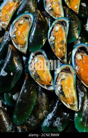 Un primo piano di cozze verdi asiatiche su ghiaccio, cozze fresche e crude dimezzate sono in vendita presso un mercato locale. Vista dall'alto. Disposizione piatta. Foto Stock