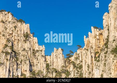Formazione rocciosa a Calanque de l'Oule, Parco Nazionale Calanque, Marsiglia, Bocche del Rodano, Provenza, Francia, Europa Foto Stock