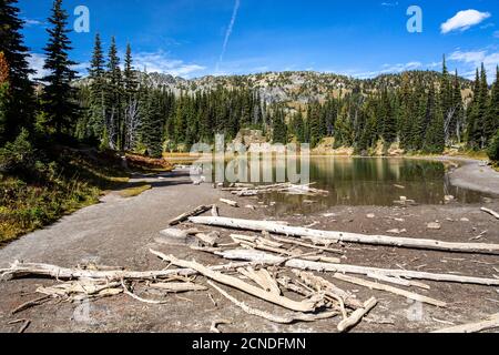 Lago di acqua dolce sul monte Rainier dal Burroughs Mountain Trail, Mount Rainier National Park, Washington state, Stati Uniti d'America Foto Stock