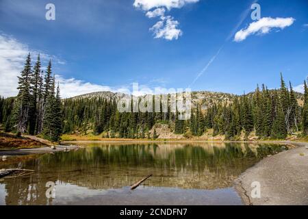 Lago di acqua dolce sul monte Rainier dal Burroughs Mountain Trail, Mount Rainier National Park, Washington state, Stati Uniti d'America Foto Stock