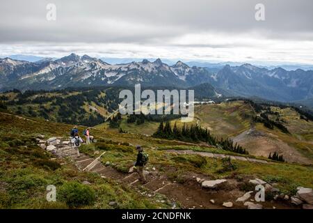 Viste dal sentiero Skyline del Parco Nazionale di Mount Rainier, Stato di Washington, Stati Uniti d'America Foto Stock