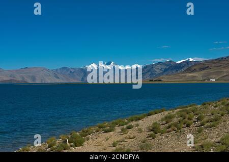 TSO Moriri o Lago di montagna, Ladakh, India. Il più grande dei laghi ad alta quota interamente all'interno dell'India. L'acqua è salmastra Foto Stock