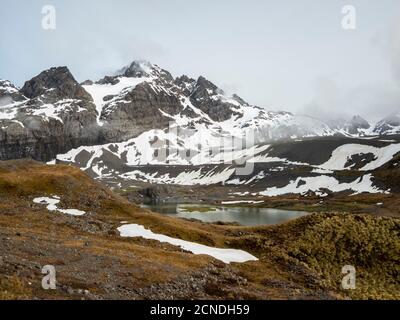 Montagne innevate e lago glaciale di acqua di fusione nel Gold Harbour, Georgia del Sud, regioni polari Foto Stock