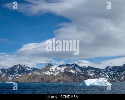 Grande iceberg all'ingresso della Baia di St. Andrews, Georgia del Sud, regioni polari Foto Stock