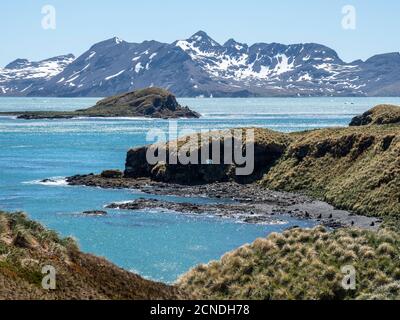 Montagne innevate e colline coperte di tussock a Maiviken, Georgia del Sud, regioni polari Foto Stock