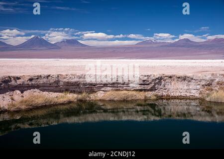 Un piccolo pozzo inondato nel Salar de Atacama, Los Flamencos National Reserve, Cile Foto Stock