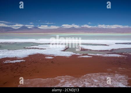 Laguna Tebenquicne, una laguna di acqua salata nel Salar de Atacama, Los Flamencos National Reserve, Cile Foto Stock