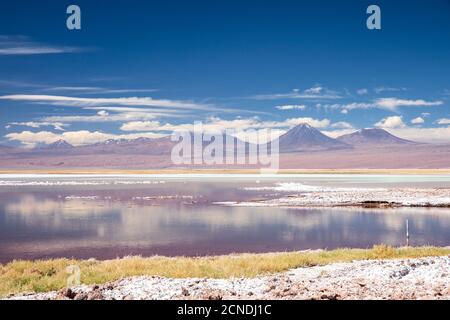 Laguna Tebenquicne, una laguna di acqua salata nel Salar de Atacama, Los Flamencos National Reserve, Cile Foto Stock