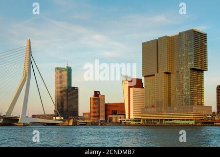 Ponte Erasmus sul fiume Nieuwe Maas al tramonto, Rotterdam, Sud Olanda, Paesi Bassi, Europa Foto Stock