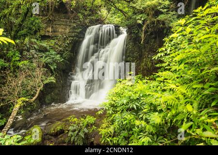 Horseshoe Falls, Matai Stream, Matai Falls Walk, The Catlins, South Island, Nuova Zelanda, Pacifico Foto Stock