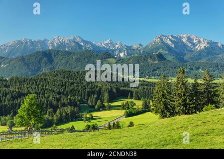 Vista da Schlossbergalm alle Alpi di Allgau, Zell, Allgau, Schwaben, Baviera, Germania, Europa Foto Stock