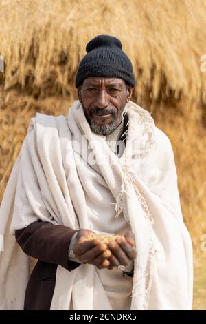 Ritratto di uomo anziano che tiene in mano il grano, Provincia di Wollo, Regione di Amhara, Etiopia, Africa Foto Stock