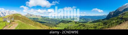 Panoramica dei prati verdi dell'Alpe di Siusi in estate, Dolomiti, Alto Adige, Italia, Europa Foto Stock