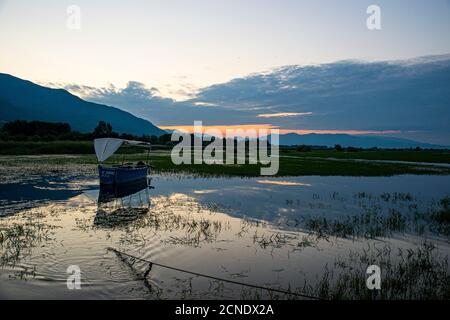 Alba sul lago Kerkini, Macedonia, Grecia, Europa Foto Stock