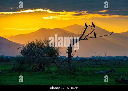 Alba sul lago Kerkini, Macedonia, Grecia, Europa Foto Stock