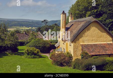 Uno dei cottage storici nel villaggio di Selworthy, vicino a Minehead, nel Parco Nazionale di Exmoor, Somerset, Inghilterra, Regno Unito, Europa Foto Stock