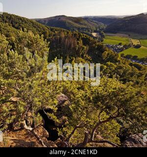 Vista dalla roccia di arenaria rossa Efles, Nideggen, Eifel, Nord Reno-Westfalia, Germania, Europa Foto Stock