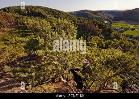 Vista dalla roccia di arenaria rossa Efles, Nideggen, Eifel, Nord Reno-Westfalia, Germania, Europa Foto Stock