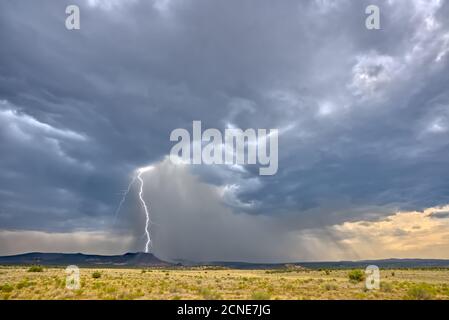 Una massiccia tempesta monsonica che si sposta su Matterhorn Mesa a nord di Drake, visto da Forest Service Road 492, Arizona, Stati Uniti d'America Foto Stock