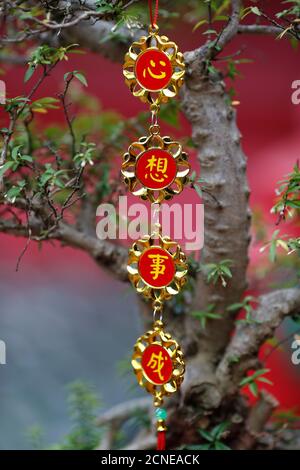 Decorazione cinese di festa di Capodanno, ho Chi Minh City, Vietnam, Indocina, Sud-est asiatico, Asia Foto Stock