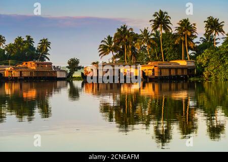 Le case galleggianti ormeggiate all'alba dopo il pernottamento sulla popolare crociera in backwater, Alappuzha (Alleppey), Kerala, India, Asia Foto Stock
