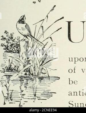 . Uccello-lore . ij^.:-: . ,- SFARFALLIO AL NIDO-BUCO lo stesso sito era stato utilizzato per due stagioni precedenti, in una delle quali thewas artificialmente ingrandito da un ragazzo fotografato dalla natura bj A. L. Princehorn, a Glen Island, N. Y., giugno 16. 1899 gli uccelli che passano di notte. DA HARRY S. WARREN PON la richiesta di ]Ir. H. A. Winkenwerder, dell'Università del Wisconsin, ho fatto arrangiamentiper prendere osservazioni con il telescopio a Detroitupon nal uccello migrazione, utilizzando la luna per un campo di visione, durante la luna piena in maggio. La luna wouldbe al pieno a otto a. m. il 14, INIonday, Foto Stock
