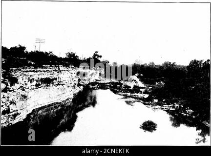 . Gli uccelli dell'Ohio; una descrizione scientifica e popolare completa delle 320 specie di uccelli trovati nello stato. Sparrow di sh. L'estinzione della Grande Auk, il passaggio del piccione selvaggio e del tacchino, Triste come theseare, sono trifili rispetto alla riduzione all'ingrosso dei nostri uccelli più piccoli, che è dovuto all'invasione di quel foreigner miserabile, il Sparrow.to inglese essere sicuro che è stato invitato a venire, ma l'offesa è tutto il più grado becauseit è stato in parte umano. La sua introduzione è stata in parte da persone che avrebbero conosciuto meglio, e senza dubbio, se la scienza di ornit Foto Stock