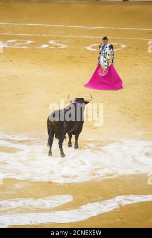 Zaragoza, Spagna - 8 ottobre 2014: Il corromordiero spagnolo El Fandi in una corrida. Foto Stock