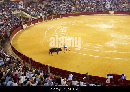 Zaragoza, Spagna - 8 ottobre 2014: Il corromordiero spagnolo El Fandi in una corrida. Foto Stock