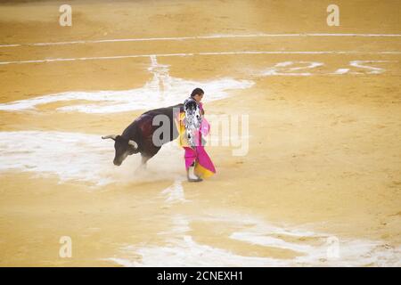 Zaragoza, Spagna - 8 ottobre 2014: Il corromordiero spagnolo El Fandi in una corrida. Foto Stock