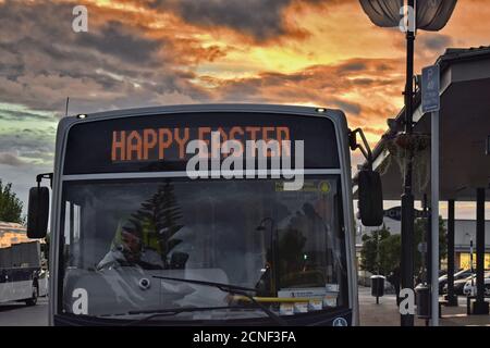 AUCKLAND, NUOVA ZELANDA - 29 marzo 2019: Auckland / Nuova Zelanda - 29 2019 marzo: Buon autobus pasquale alla luce del tramonto Foto Stock