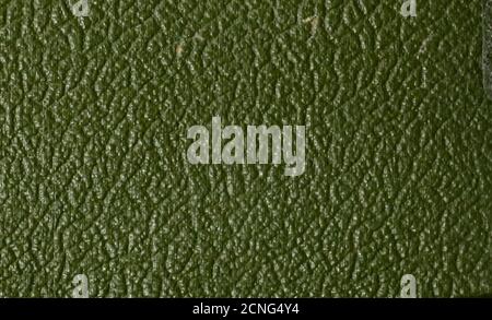 . Gli uccelli dello Yorkshire : essendo un racconto storico della avi-fauna della Contea . Foto Stock