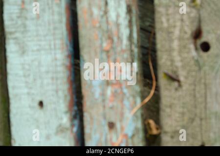 Vecchia superficie di legno. Tavole di legno danneggiate. Immagine con messa a fuoco morbida. Foto Stock