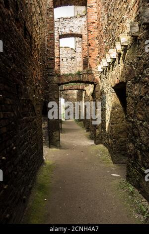 Dettaglio del Castello di Slains a Cruden Bay, Aberdeenshire, Scozia, Regno Unito Foto Stock