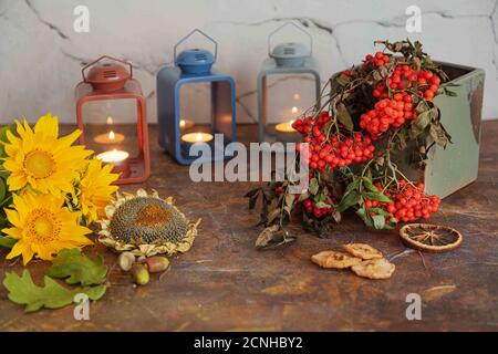 Su uno sfondo di legno, lanterne brucianti, un ramo di rowan rosso, fiori gialli, girasoli e mele secche. Concetto, autunno è venuto,. Foto di alta qualità Foto Stock