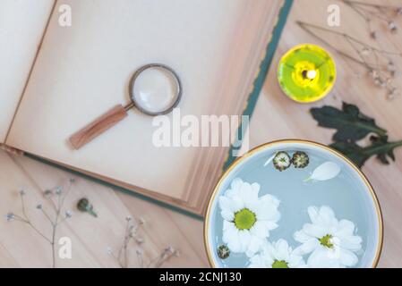 Un tè alle erbe con fiori di margherita freschi in una tazza di colore bianco e dorato su un tavolo di legno con lente d'ingrandimento sulla pagina di un libro, primo piano Foto Stock