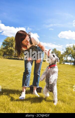 Caucasica addestra e alimenta il suo amato cane schnauzer nel parco. Concetto di amore per gli animali. Migliori amici Foto Stock