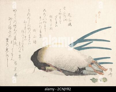 Spring Rain Collection (Harusame shu), vol. 1: Duck and Scallions, 1810s. Foto Stock