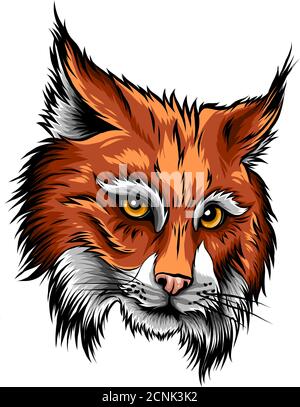 Illustrazione vettoriale isolata Eurasian lynx. Icona di schizzo di un animale selvatico disegnata a mano da un vettore. Illustrazione Vettoriale