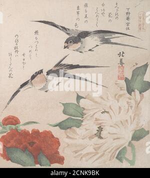 Spring Rain Collection (Harusame shu), vol. 3: Swallow and Peonies, ca. 1820. Foto Stock