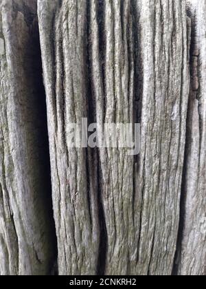 Antico palo di recinzione con travi in legno Foto Stock