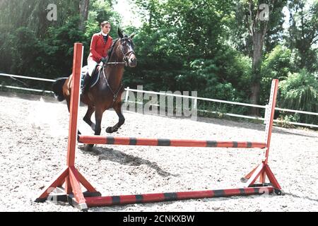 Giovane femmina jockey su cavallo che salgono su hurdle. Equestrian Foto Stock
