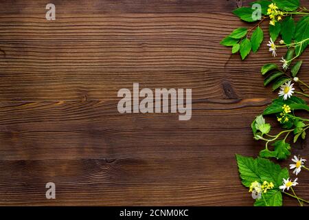 Medicina erbe selvatiche e fiori vista dall'alto Foto Stock