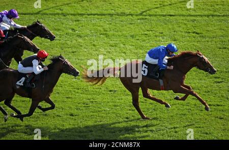 Yibir guidato da William Buick (a destra) vince il 40 anniversario Haynes, Hanson & Clark Conditions Stakes all'ippodromo di Newbury. Foto Stock