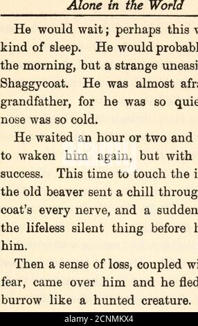 . Shaggycoat; la biografia di un castore. Tevens, che potrebbe raccontarvi storie di maniacale dei giorni in cui sua nonna, Mar-garet Patrick, era una bambina. Quando la famiglia Patrick venne a Stroud-Water costruirono una piccola casa a circa un chilometro e mezzo dalla guarnigione. Tutti gli earlisettler del New England furono obbligati a costruire gardgarrison, o case di tronchi forti con piccole dows di vincita, case in cui potevano nascondersi sveglio dagli attacchi di indiani ostili, e in cui potevano proteggere gli Avomcn e i bambini. Una pistola di segnale era il loro unico telefoneo o telegrafo, e se c'era qualcuno aveva motivo di pensare Foto Stock