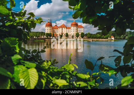 Castello Moritzburg in Sassonia vicino Dresda. Incorniciato da foglie di primavera lussureggiante fogliame in primo piano con riflessione in stagno Springtime. Germania. Foto Stock