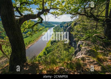 Germania. Vista dalla formazione rocciosa di Bastei lungo il fiume Elba. Visita al Parco Nazionale della Svizzera sassone nella stagione primaverile. Foto Stock