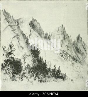 . Qui e là in New England e Canada. D crag di roccia storm-logorata. Offre una scena di grande desolazione e di interesse sorprendente, le guglie arrowy delle scogliere che assomigliano alle rovine di qualche Petra occidentale. Queste pareti trionfanti raggiungono un'altezza di novecento piedi sopra il burrone, nel cui fondo una strada stretta findsabely stanza per vento via verso le pianure di Umbagog. Il Flume, la Grotta di ghiaccio, Table Rock, Jacobs Ladder, Huntingtons 74 Cascades e altri, lo Xotch ha la sua parte piena; e i sentieri conducono fino a bellissimi punti di vista lungo la cresta, e brocca Foto Stock