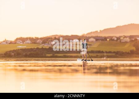 Giovane donna si levano in piedi su paddleboarding al tramonto, Lago di Wallersee, Flachgau, Salisburgo, Austria Foto Stock